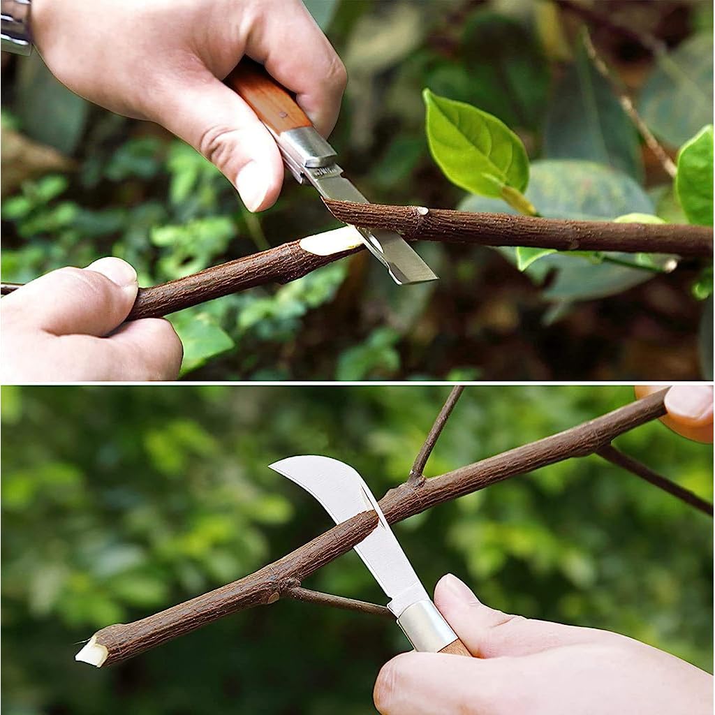 HASTHIP Grafting Knife for Plants with Dual Blade Foldable Design and Wooden Handle 3 PCS