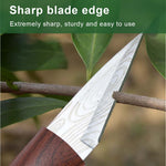 HASTHIP Grafting Tool for Fruit Trees and Roses with 2 Rolls 200 m Tape | Wooden Handle Stainless Steel Cutter