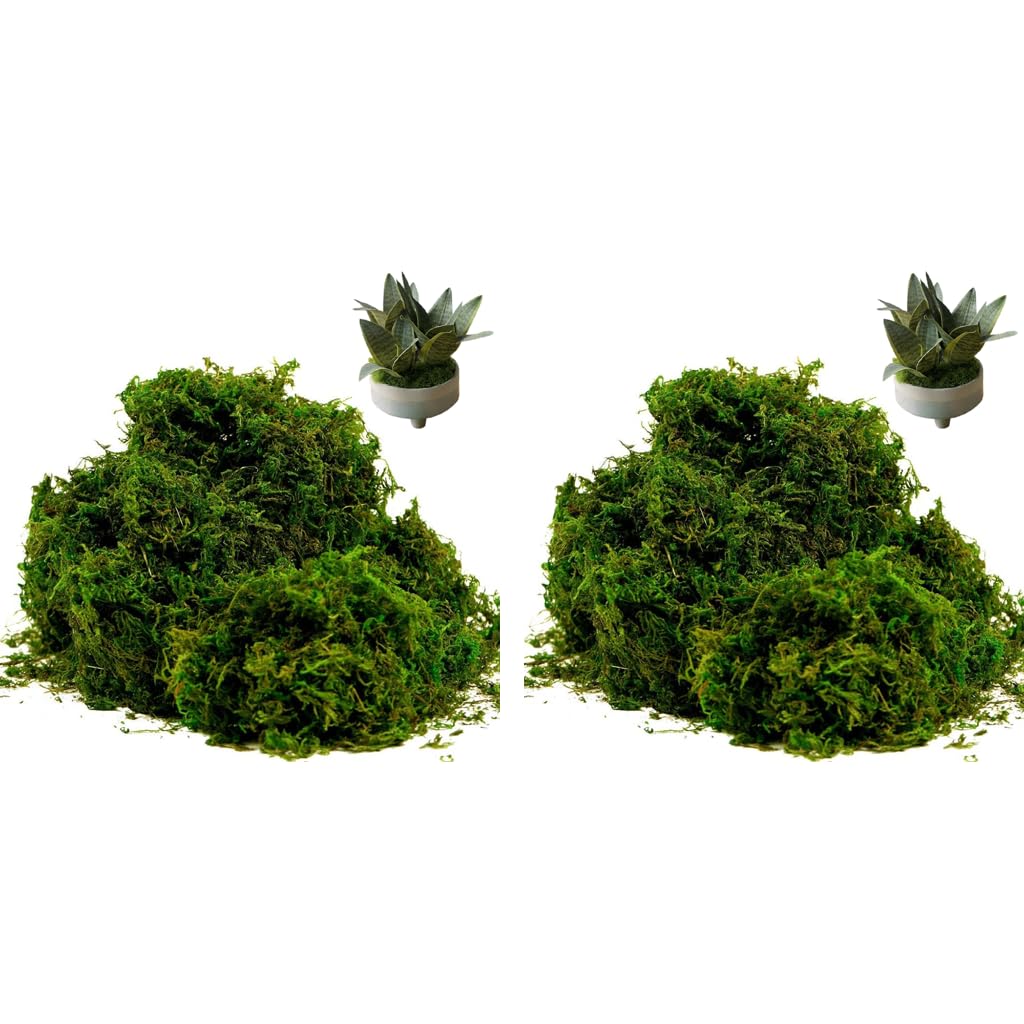 HASTHIP Realistic Moss for Planter Decoration with Lifelike Texture 200g Dark Green 2PCS