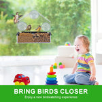HASTHIP Bird Feeder for Windows with Suction Cups and Perching Rod | Clear Hut Style Design