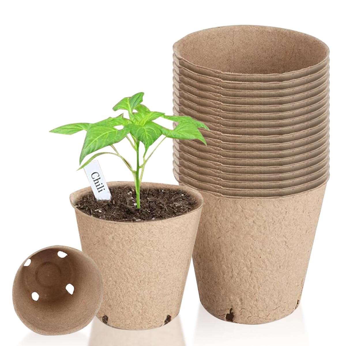 HASTHIP Nursery Seedlings Peat Pots for Garden Starters with Drainage Holes 20pcs | Organic Paper Pulp Biodegradable Cups