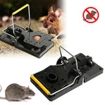 HASTHIP Rat Traps for House and Garden featuring Simple Bait Mechanism | 12PCS Reusable