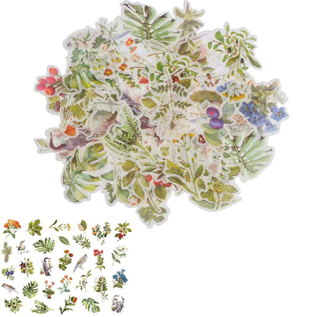 HASTHIP® 60 Washi Tape Paper Sticker Vintage Plant Bird Sticker Flower Sticker for DIY Scrapbooking Diary Albums Tea Cup Laptop Notebook Decoration (Flower and Bird)