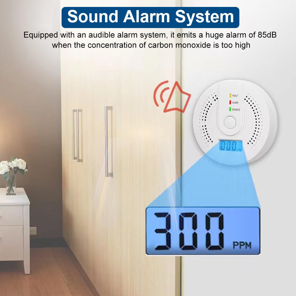 HASTHIP Carbon Monoxide Detector with LCD Display and 85dB Alarm | Advanced Sensor