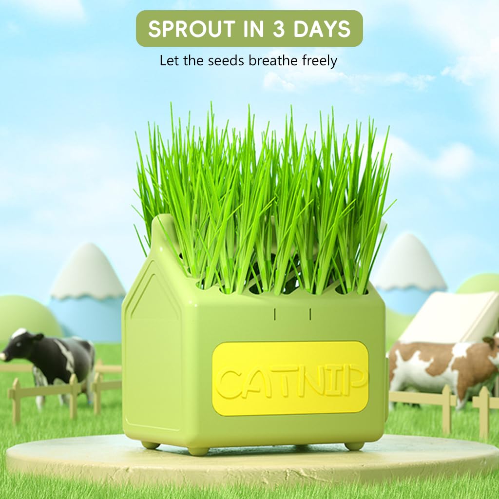 HASTHIP® Cat Grass Planter