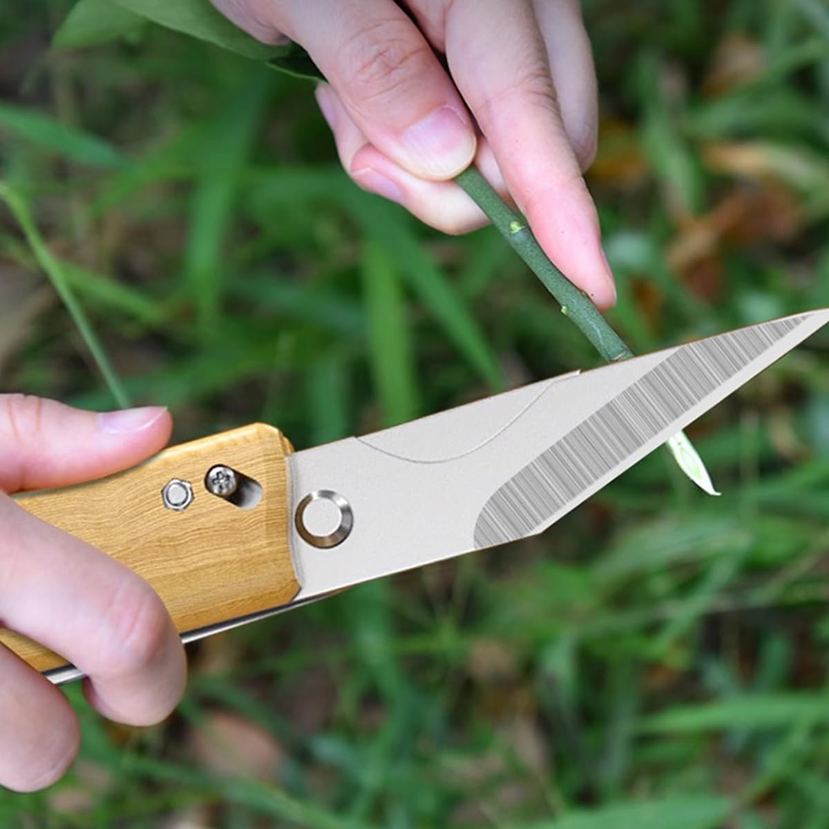 HASTHIP Grafting Cutter Tool 3 in 1 for Gardening featuring Wooden Handle and Steel Cleft