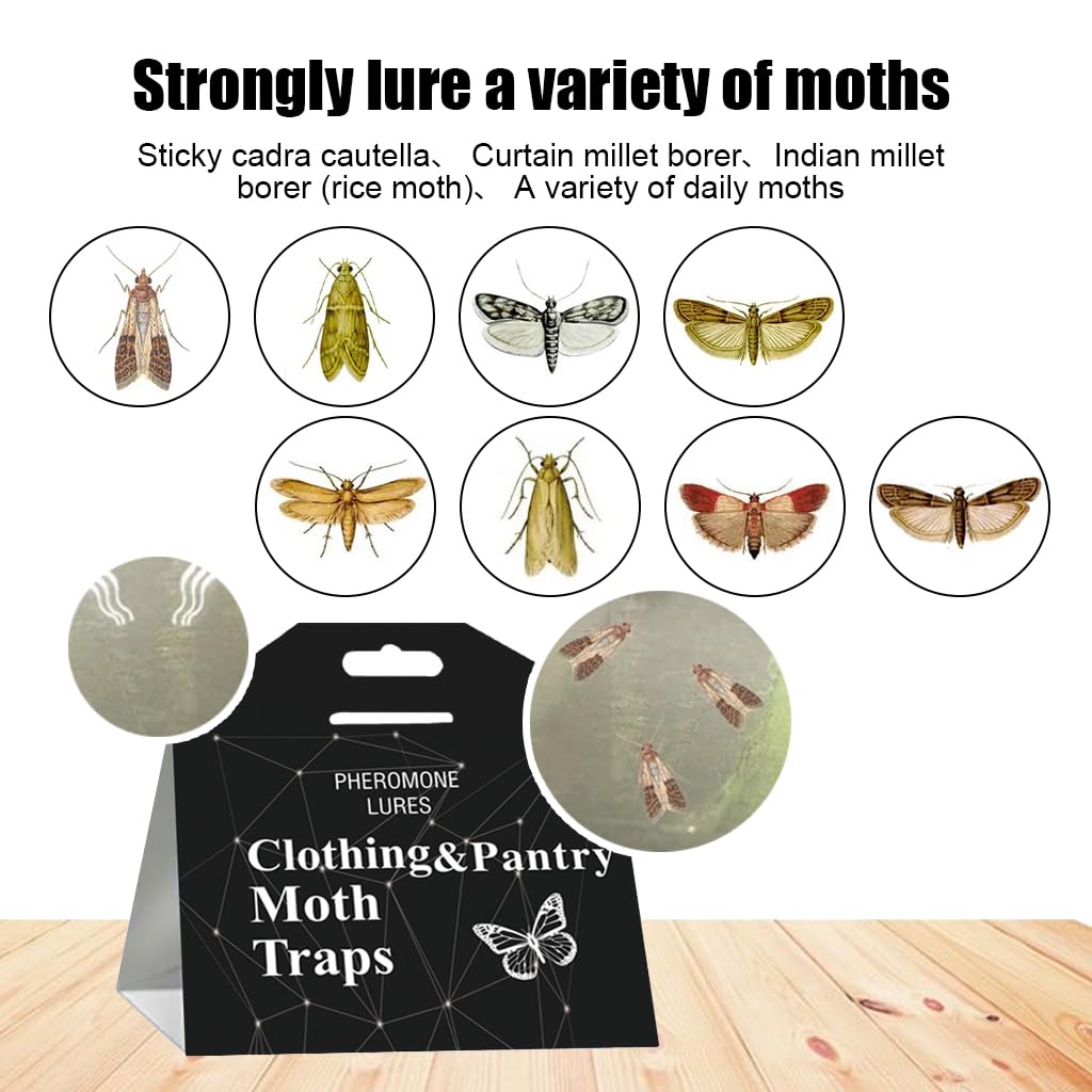 HASTHIP Moth Traps for Clothes and Pantry with Strong Glue Backing and Pheromone Lure 10PCS