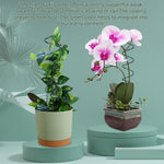 HASTHIP Plant Support Stick for Indoor and Outdoor Planters featuring 6PCS 15.75 in Spiral Metal Stakes