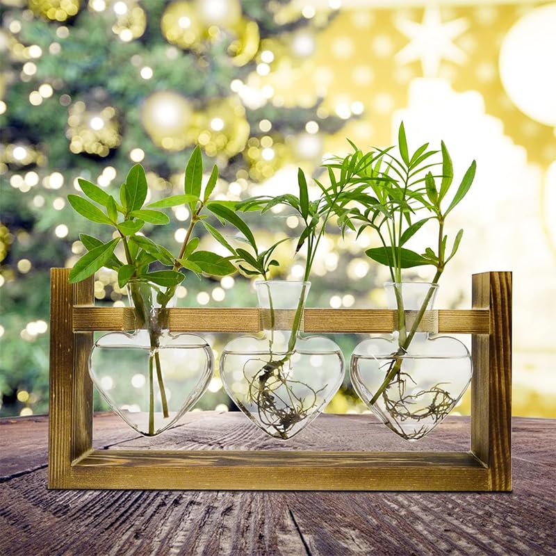 HASTHIP Hydroponic Glass Vase Kit for Desktop Decor with 3 Heart Planters & Wooden Stand