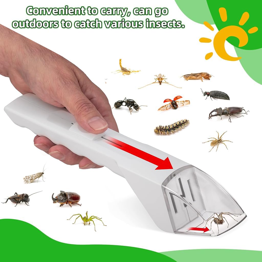 HASTHIP Humane Insect Catcher Tool for Outdoor Exploration with Quick Release Button | Fun Learning for Kids and Adults
