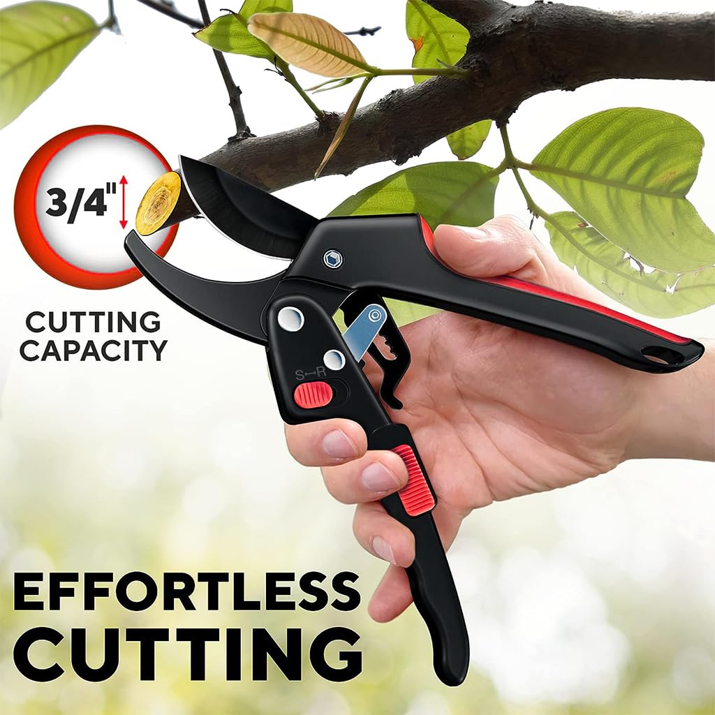 HASTHIP Gardening Scissor for Lawn and Potted Plants with Ratchet Mechanism and SK5 Blade | Ergonomic Handle 3/4 in Branch Cutter