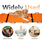 HANNEA Foldable Patient Stretcher