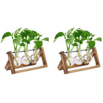 HASTHIP Hydroponics Glass Planter for Desktop Decor with Wooden Stand 3Pcs | Clear Bulb Vase 5.5H x 11W x 4D