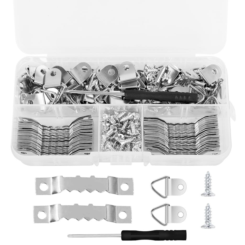 HASTHIP Picture Frame Hanging Kit for Artworks and Photo Walls with 251 pcs Silver Metal Hangers