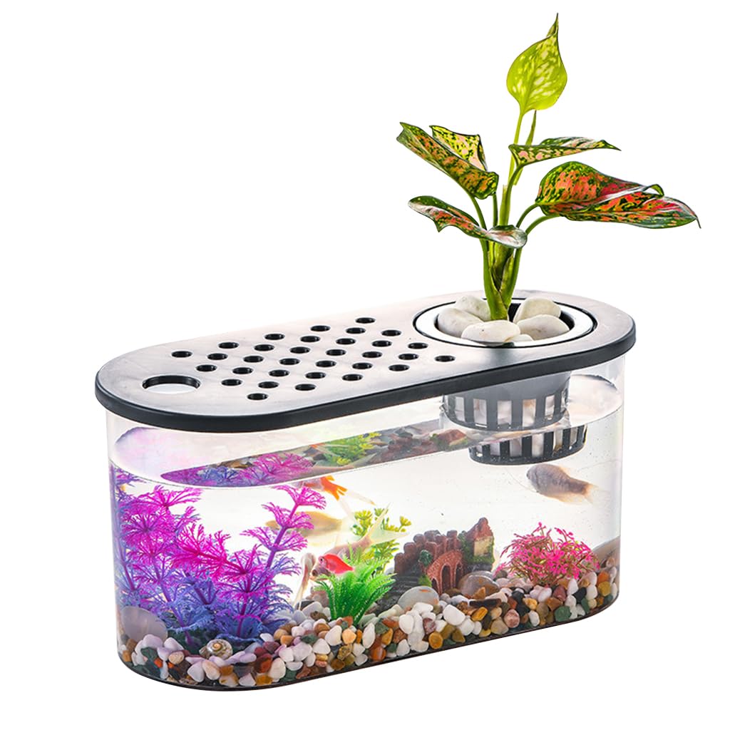 HASTHIP® Plastic Fish Tank, Narrow Aquarium, Modern Transparent Fish Bowl, Desktop Goldfish Tank, Clear Betta Fish Tank, Portable Fish Tank with Oxygen Pump Hole