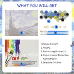 HASTHIP DIY Art Paint Kit by Number for Beginners with Pre Framed 15.7x19.6 in Canvas | Starry Night Painting Set