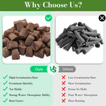 HASTHIP Seedling Sponge Blocks 50 pcs for Hydroponic Gardening featuring Porous Structure & Strong Root Aeration