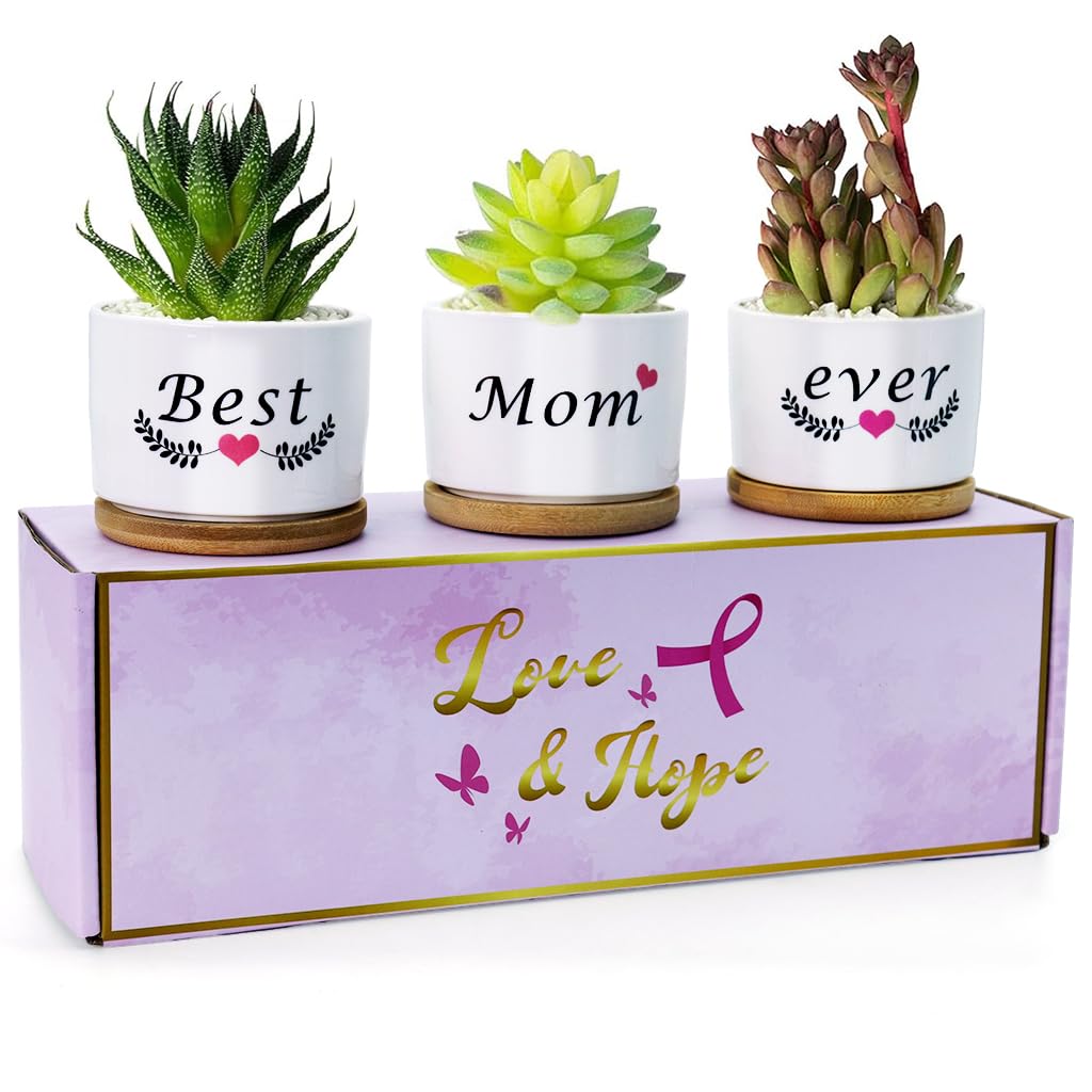 HASTHIP Ceramic Pots for Succulent Plants with Wooden Trays 3.1 in Set of 3 | Gift for Mum