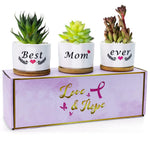 HASTHIP Ceramic Pots for Succulent Plants with Wooden Trays 3.1 in Set of 3 | Gift for Mum