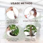 HASTHIP Moss Pole Stick for Climbing Plants with Fillable Design and Plastic Stakes | Includes 2 Poles