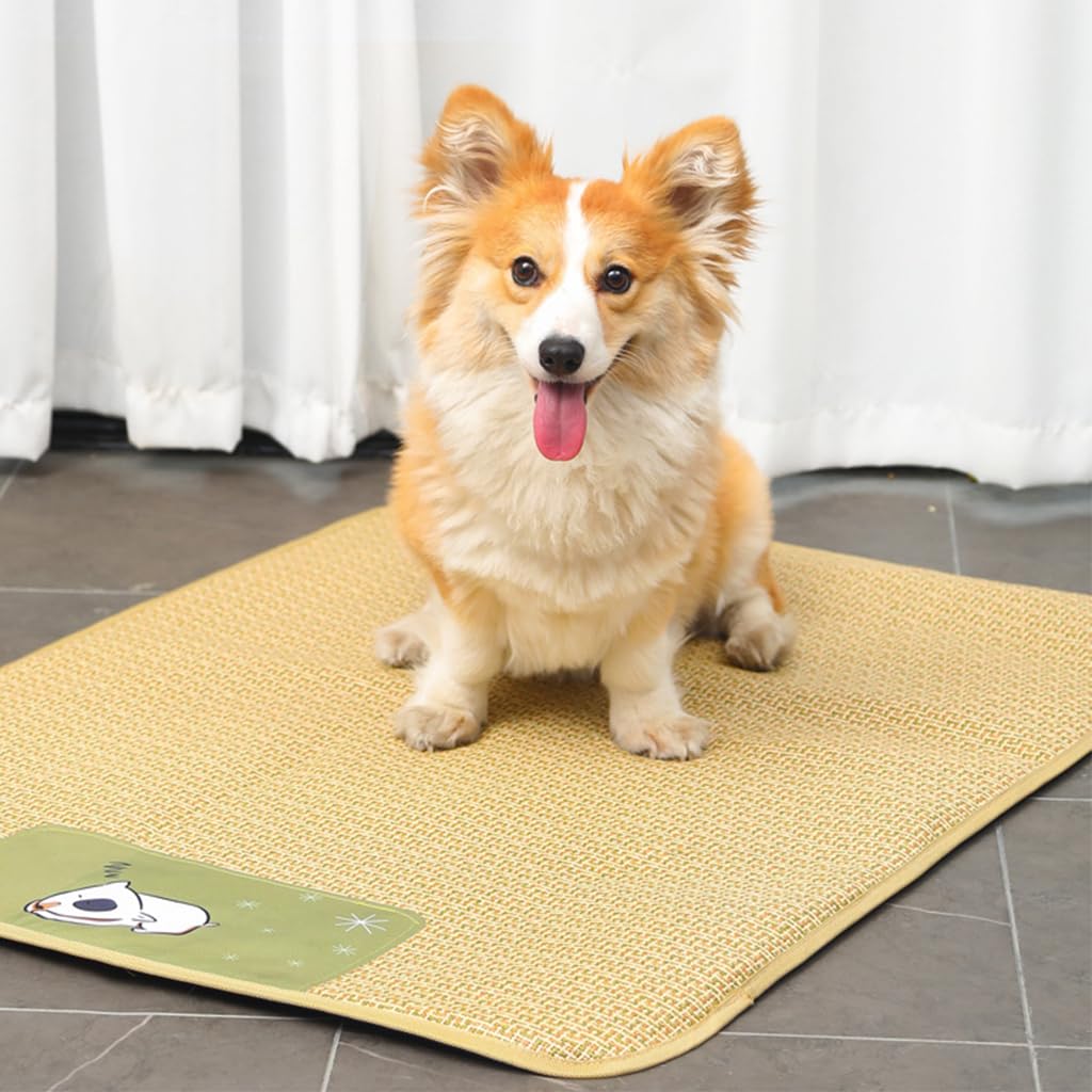 HASTHIP® Sleeping Pad for Pets, Rattan Cat Bed Mats with Anti-Slip & Waterproof Bottom, Pet Pad Sleeping Easy to Clean Ideal for Dogs & Cats - 75x100CM