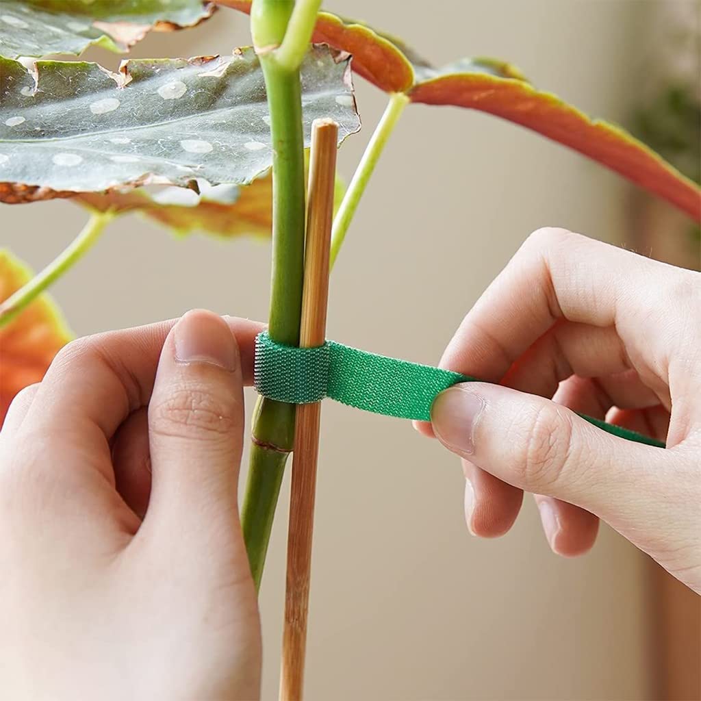 HASTHIP Plant Tie Strap for Garden Support with Hook and Loop Design 20 pcs 1 m Nylon Rolls