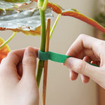 HASTHIP Plant Tie Strap for Tomato and Tree Support with Hook Loop Design 10pcs 1m Nylon Rolls