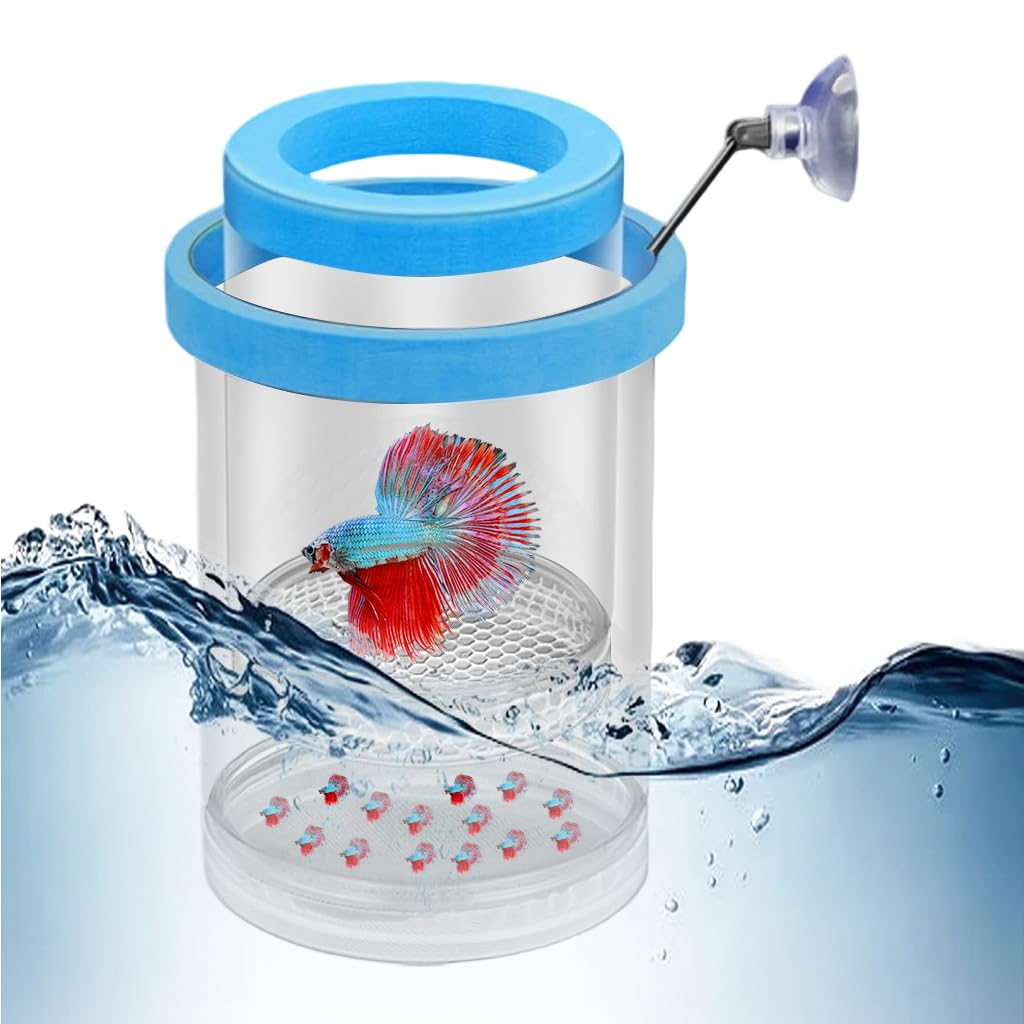 HASTHIP® Betta Fish Breeding Box – Transparent Aquarium Isolation Tank,Fish Hatchery Box for Guppy Fry,Shrimp and Small Durable High-Quality Acrylic Divider for Breeding and Protection