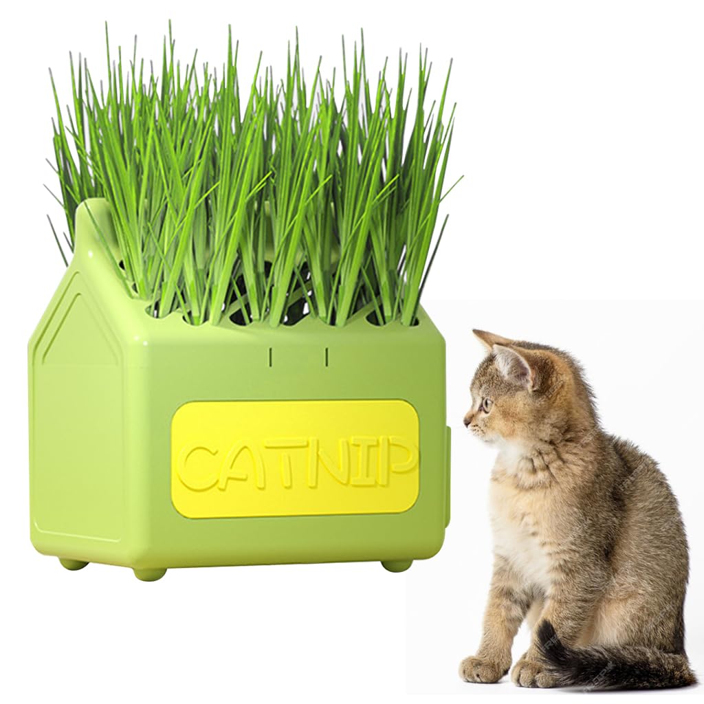 HASTHIP® Cat Grass Planter