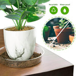 HASTHIP Plant Saucers for Indoor and Outdoor Use with Grooved Drainage Base 12 Pack | Clear Plastic Trays in 6 8 10 12 in Sizes