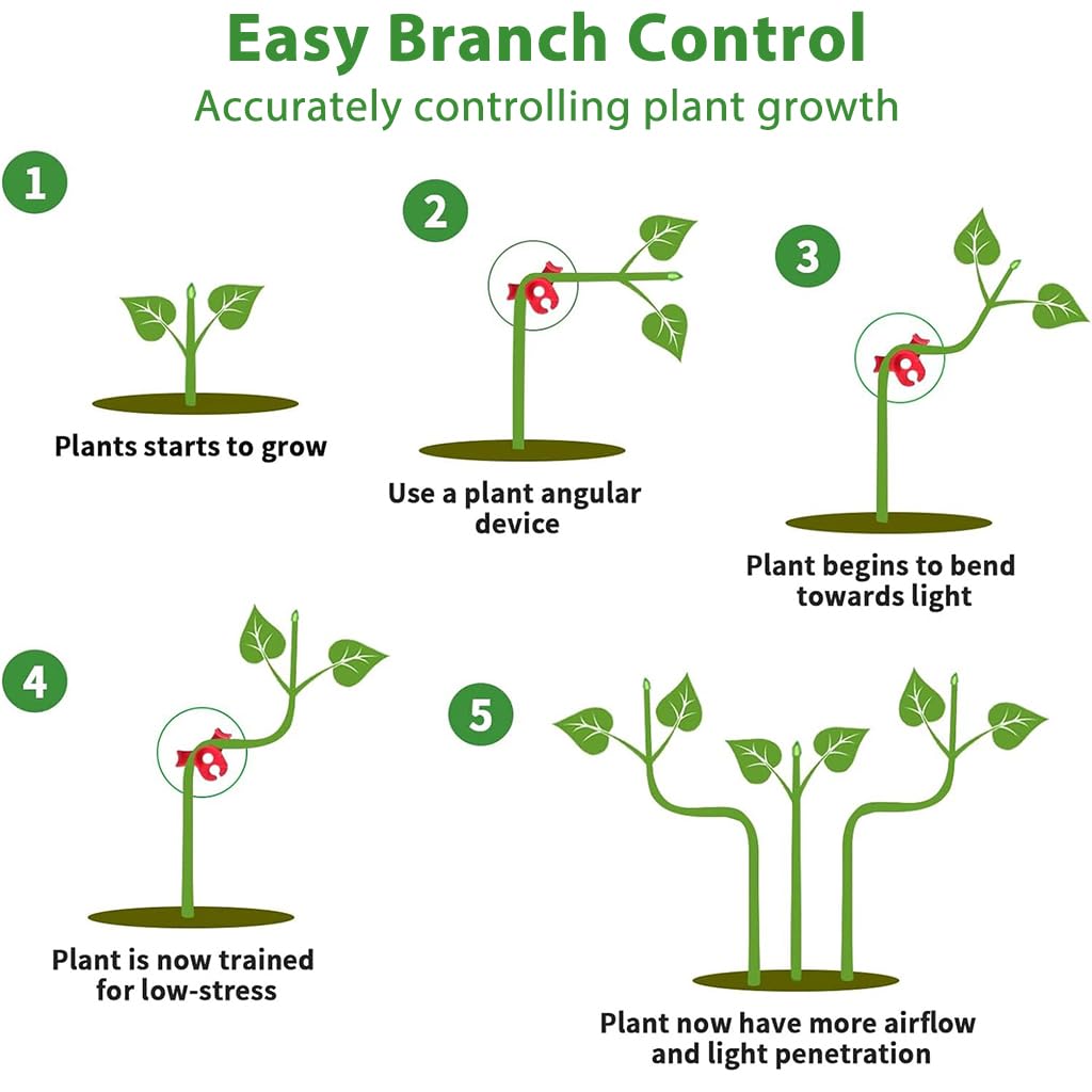 HASTHIP Plant Branch Benders for Stem Training with Dual Slot Design 30 pcs | Lightweight Plastic Clips