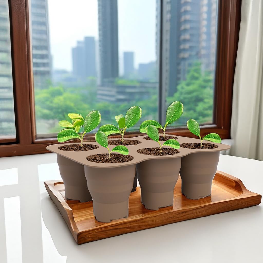 HASTHIP Silicone Seedling Germination Tray for Home Gardening with 6 Cells and Ventilation Holes