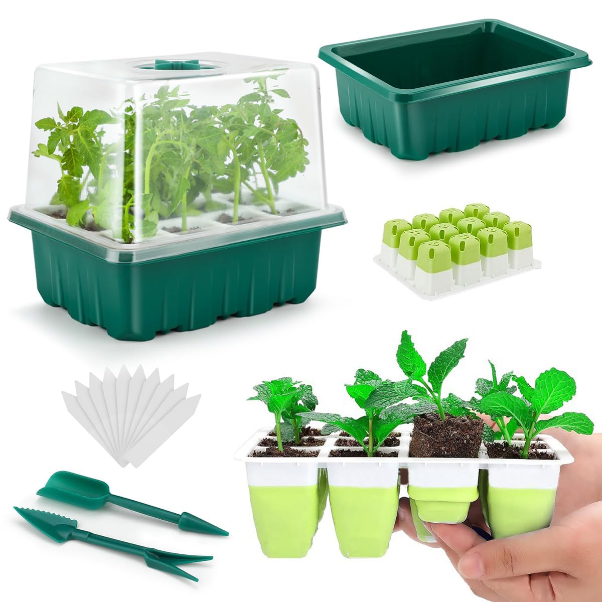 HASTHIP Seed Starter Tray for Germination with 12 Silicone Pots and Ventilation Lid | Includes Drip Tray and Seeding Tools