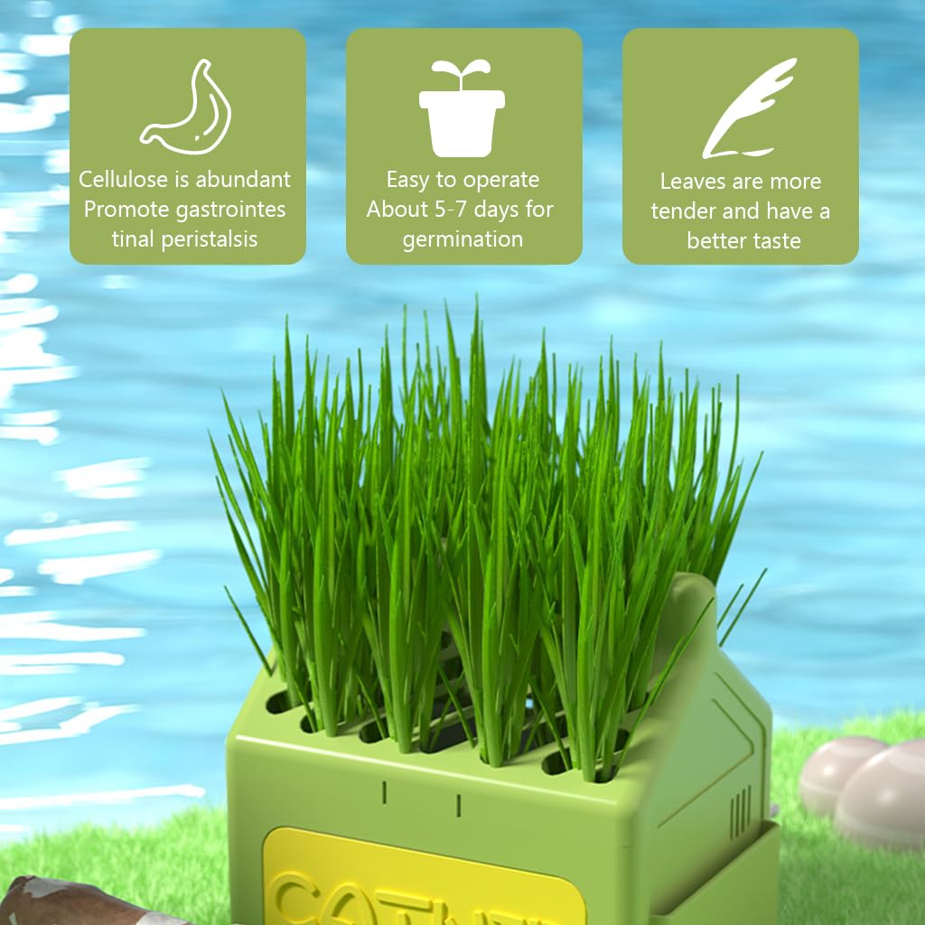HASTHIP® Cat Grass Planter