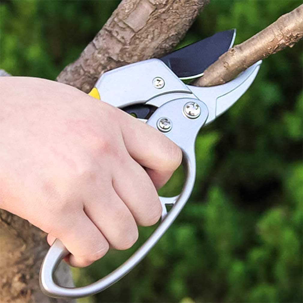 Gardening Scissor Stainless Steel Garden Snip with Safety Lock Garden Shears Sharp Cutter Pruners Scissor for Lawn, Garden & Potted Plants (A)