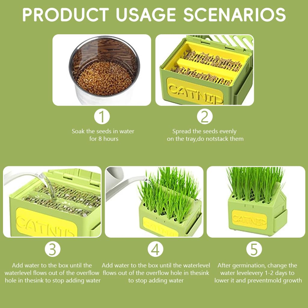HASTHIP® Cat Grass Planter