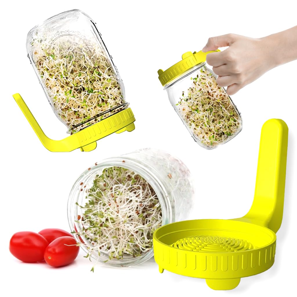 HASTHIP Sprouting Mason Jar for Homemade Edible Seeds with 32 oz Glass Body and Ventilated Mesh Lid | Includes PP Handle