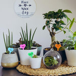 HASTHIP Plant Tags for Garden and Flower Pots featuring 100 1.8 in Heart Shape PP Labels | Colorful and Weatherproof