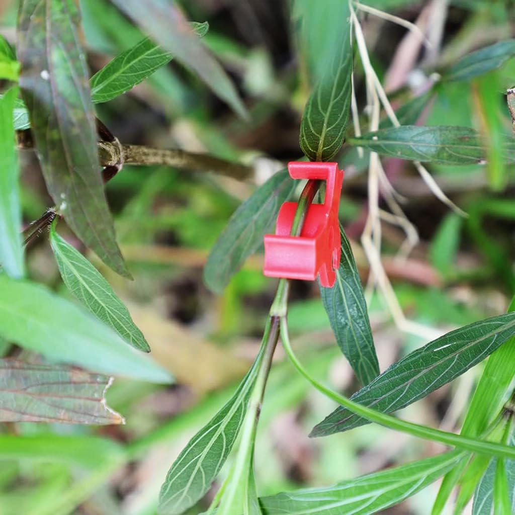 HASTHIP Plant Clip for Branch Control with Dual Slot Bender Design 50pcs Plastic | Adjustable Angle