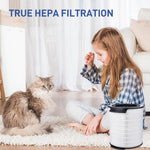 HASTHIP Air Purifier Filter for Philips 1000i AC1711 AC1715 with 360° HEPA Filtration | Lasts 6–8 Months