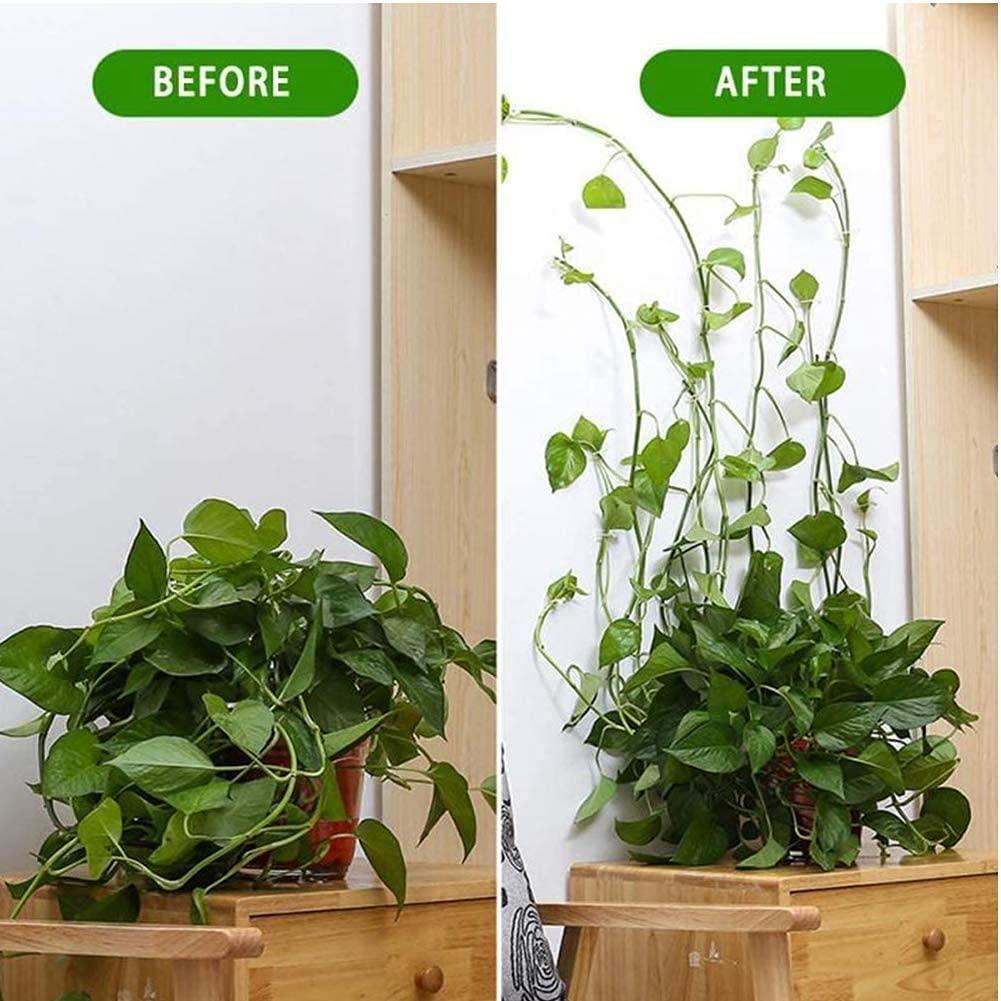 HASTHIP Wall Fixture Clips for Plant Climbing with Self Adhesive Hooks 150PCS White