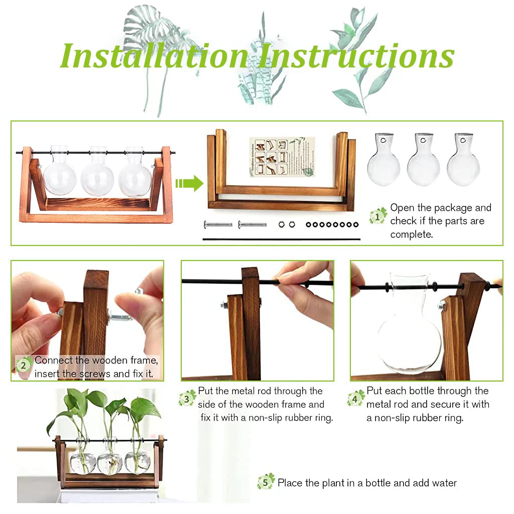 HASTHIP Hydroponics Glass Planter for Desktop Decor with Wooden Stand 3Pcs Set | 5.5H x 11W x 4D