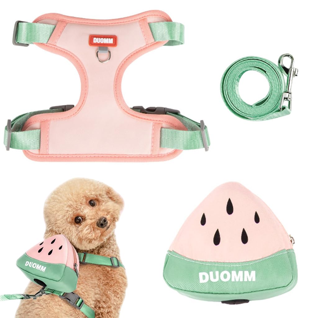 HASTHIP® Arnés para Perros Pequeños con Bolsillo Desmontable y Correa,Arnés Ajustable de 4 Puntos con Diseño de Dibujos Animados,Chaleco Transpirable Liberación Rápida para Cachorros y