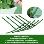 HASTHIP® Garden Plant Support Stake Connectable Sticks Creeper for Climbers 25CM Plastic Trellis Tomato Clematis 24PCS