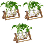 HASTHIP Hydroponics Glass Planter for Desktop Decor with Wooden Stand 3Pcs Set | 5.5H x 11W x 4D