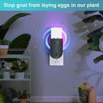 HASTHIP Mosquito Trap Light for Bedrooms with 5Pcs Sticky Cards and UVA Attractant | Child Friendly Plug and Go 110x73x55mm