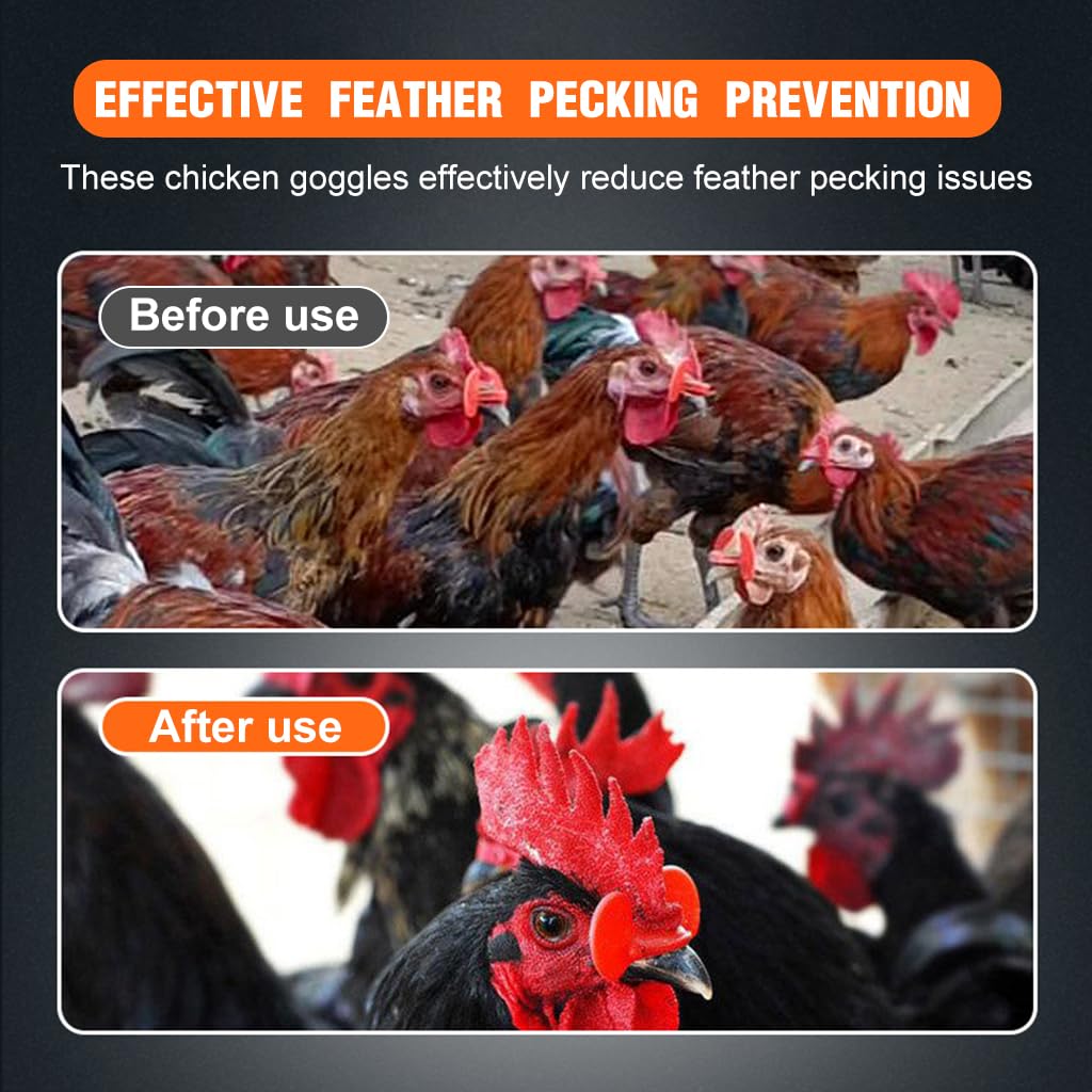 HASTHIP Chicken Goggles for Poultry with Pincer Tool and 100 PCS Set | Eye Protection for Hens and Ducks
