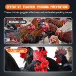 HASTHIP Chicken Goggles for Poultry with Pincer Tool and 100 PCS Set | Eye Protection for Hens and Ducks