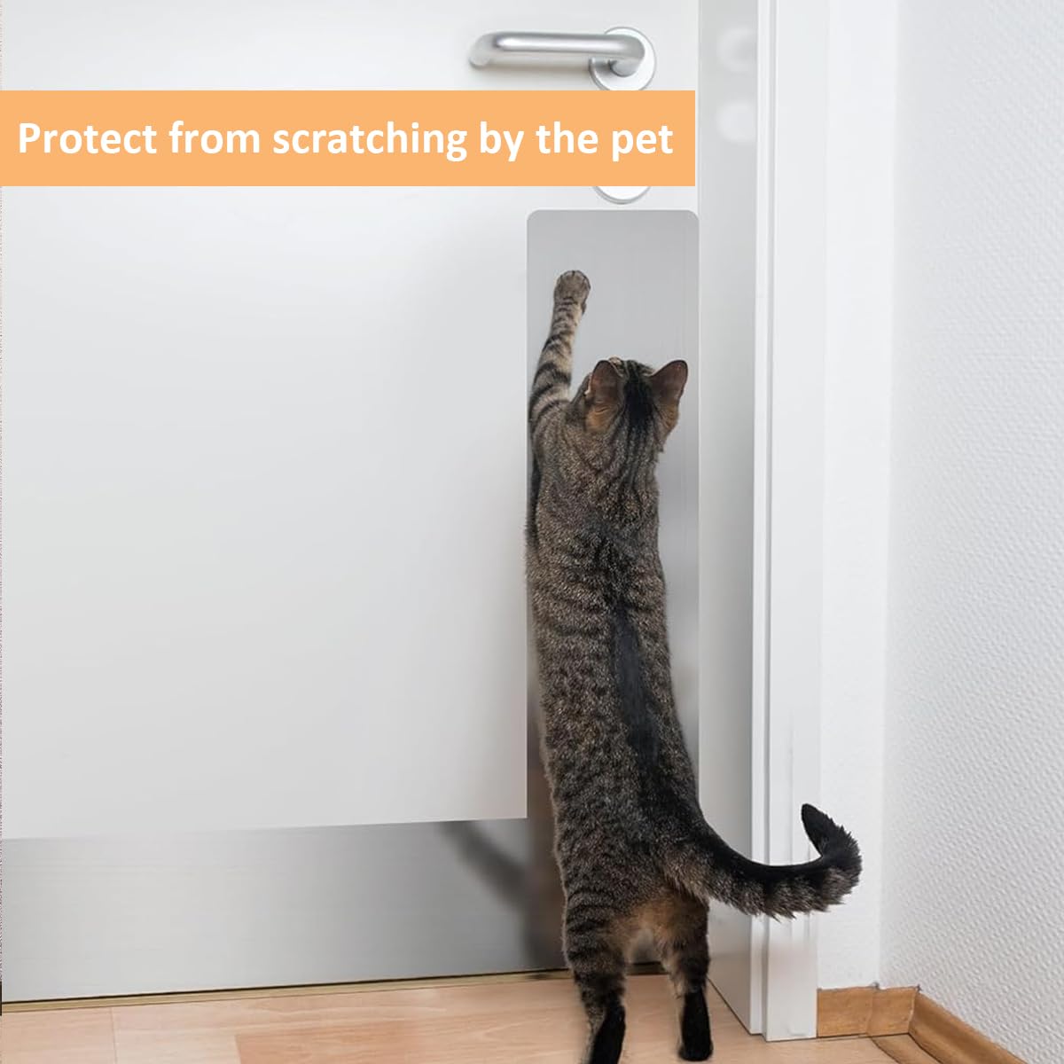 HASTHIP wall molding trim for home interior featuring 9.8 ft self adhesive stainless steel design