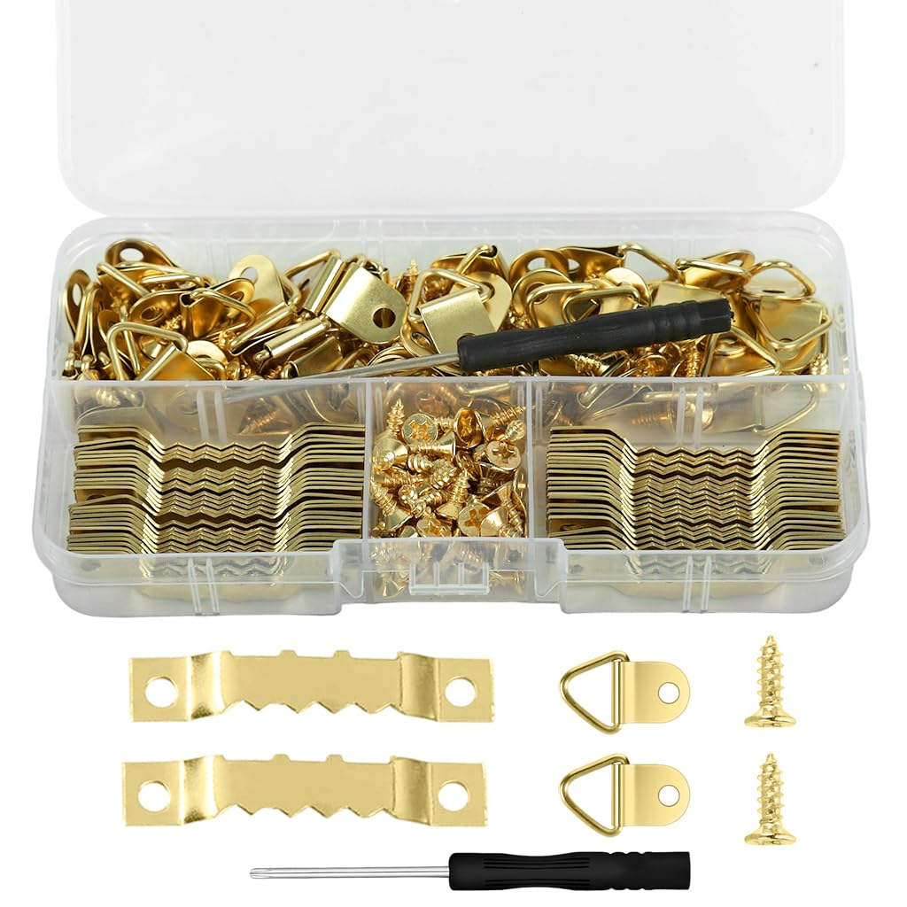HASTHIP Picture Frame Hanging Kit for Wall Mounting Artworks with 251 pcs & Screwdriver
